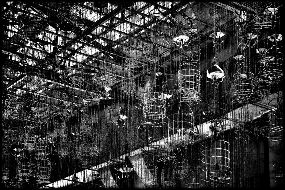 Caged //  ZYKLUS WORKED-OUT - AUF-KOHLE // 2012 + 15 // L 180 x 120 cm - M 120 x 80 cm - S 80 x 53,3 cm