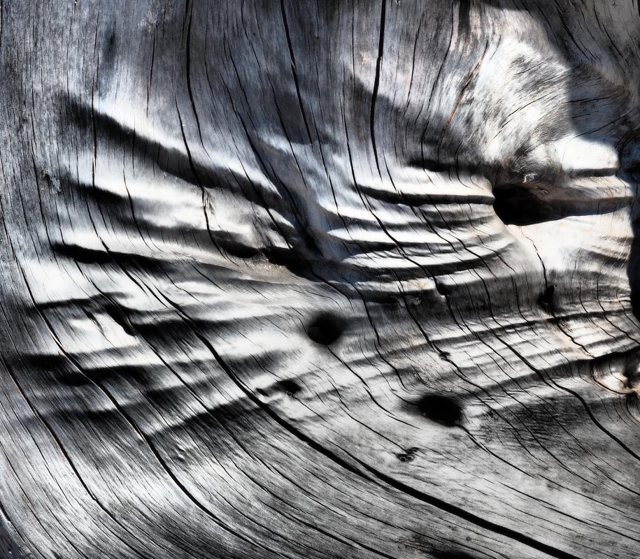 Driftwood_12
